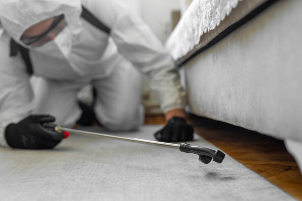 Professional Bed Bug Control technician working in Dardanelle, AR