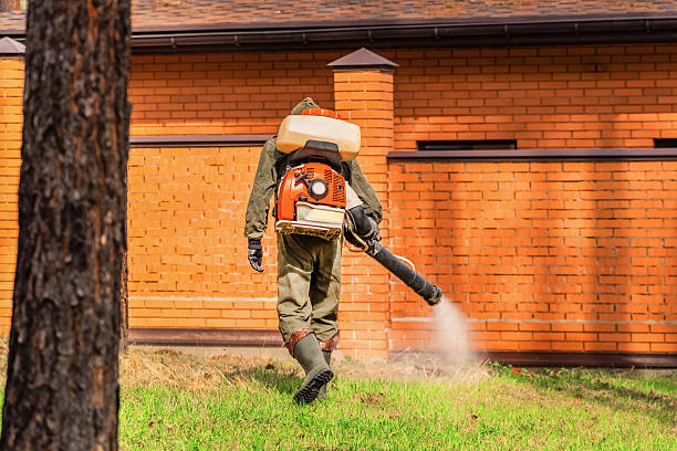 Trusted Rodent Control service in Dardanelle, AR - Nex Pest Control